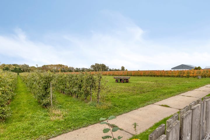 Foto 40 van Afgeslechtedijk 17