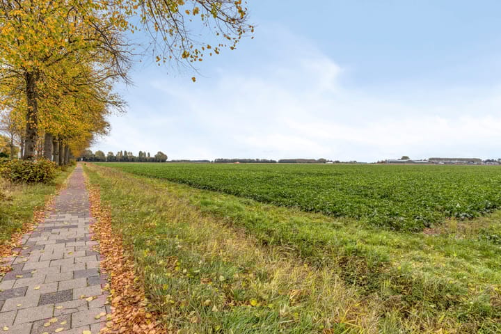 Foto 41 van Afgeslechtedijk 17