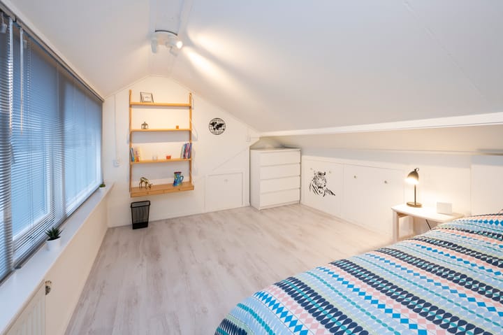 Foto 17 van Dahliastraat 3