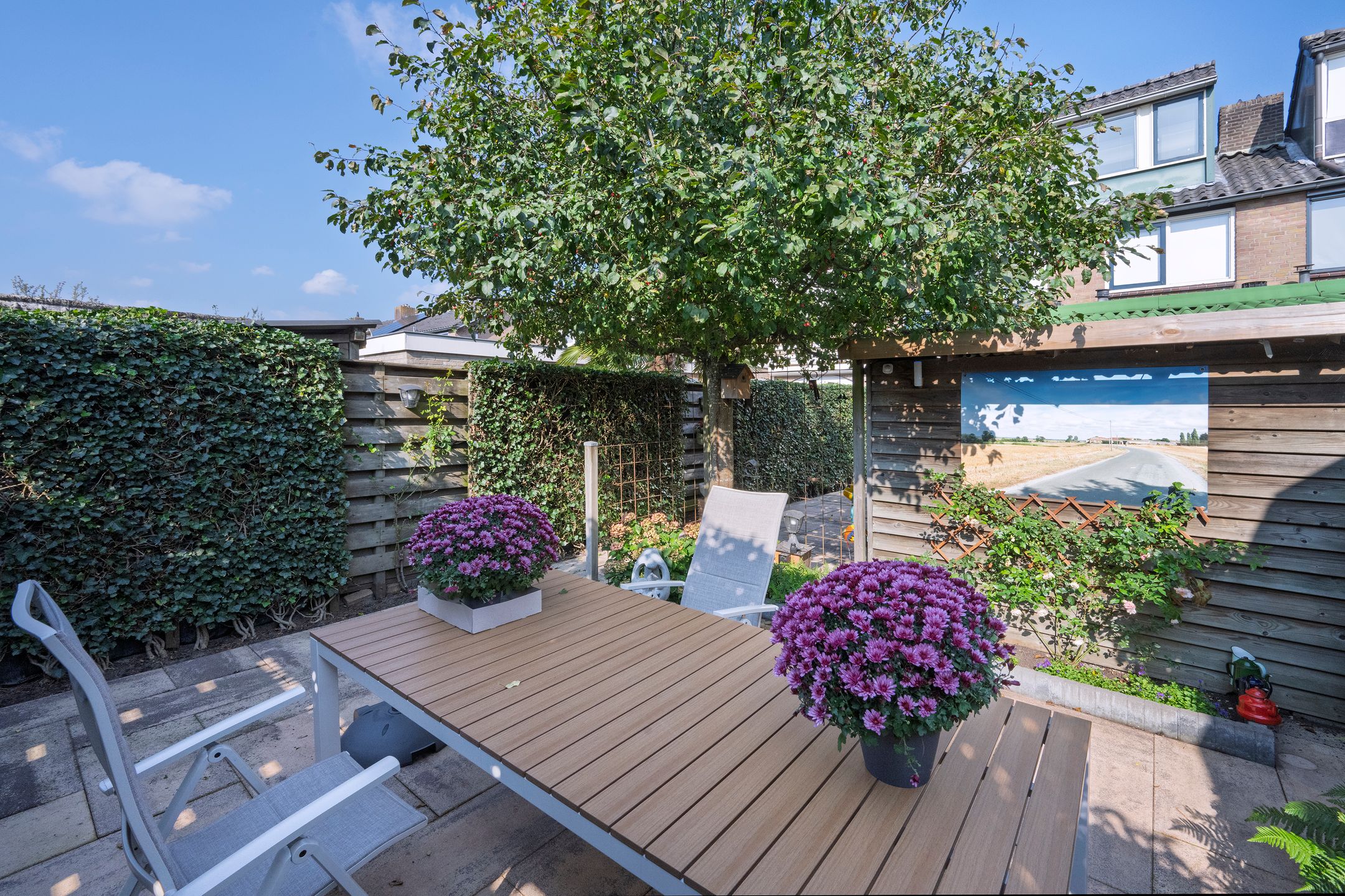 Foto 21 van Dahliastraat 3