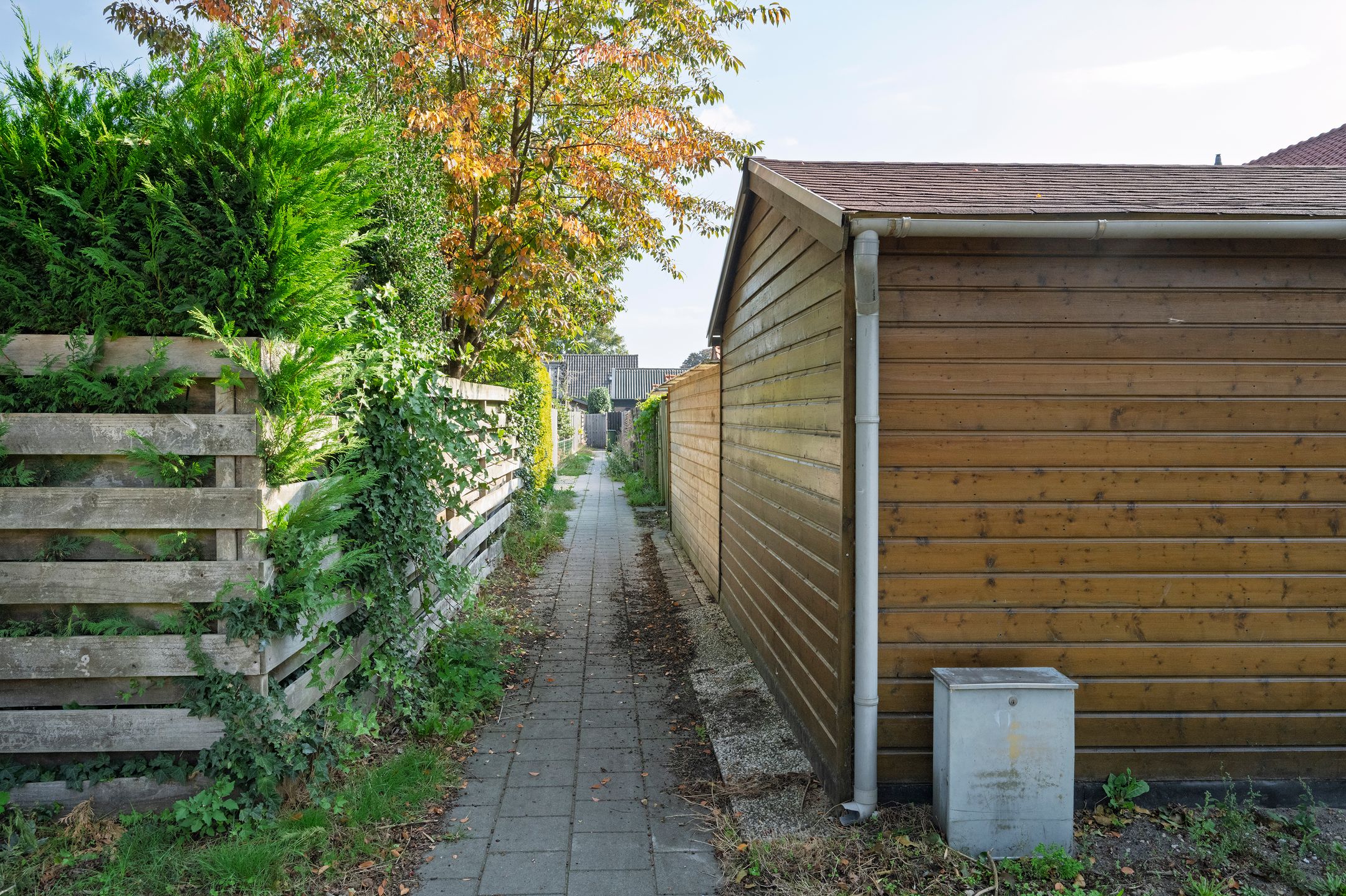 Foto 24 van Dahliastraat 3