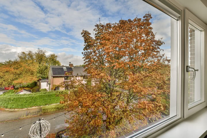 Photo 20 of Mackaylaan 38-C