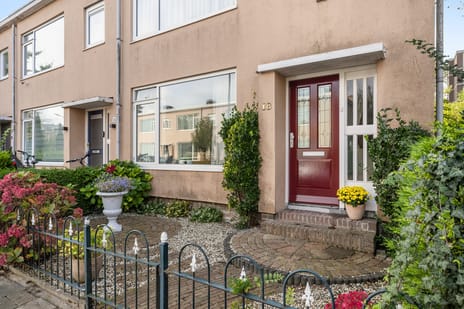 undefined main image