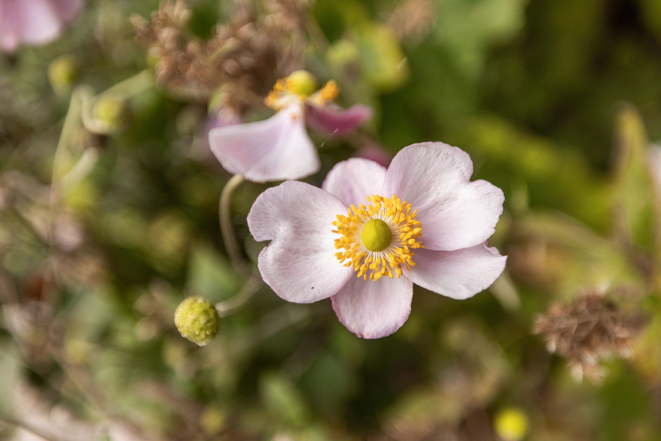 Foto 18 van Cort van der Lindenstraat 18