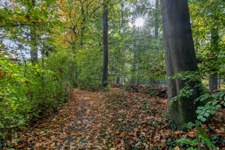 Foto 34 van Rhenendael 60