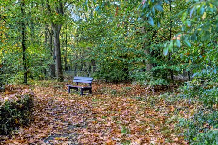 Foto 35 van Rhenendael 60