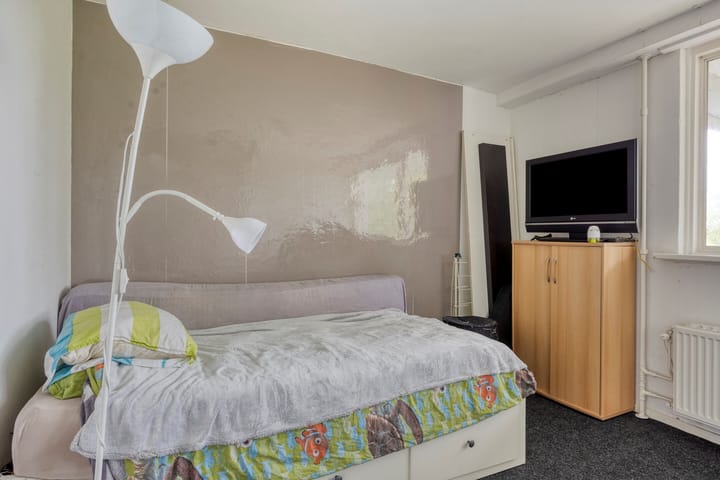 Foto 24 van Van Bosseplantsoen 105