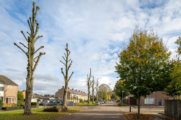 Photo 51 of Hazelaarstraat 18