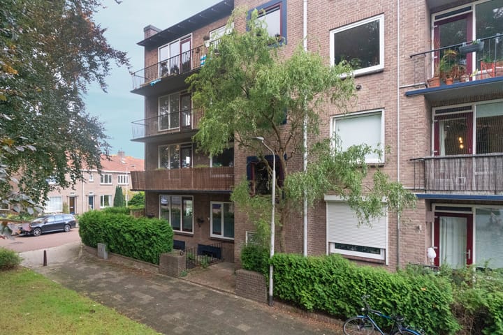 Foto 6 van Wolfstraat 188