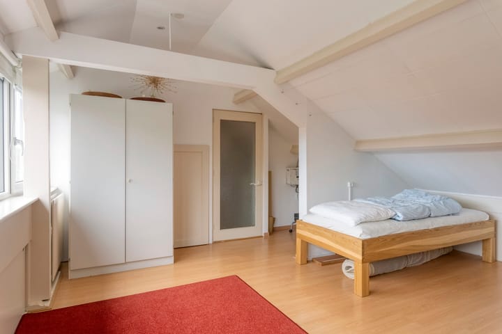 Foto 37 van van Houtstraat 42