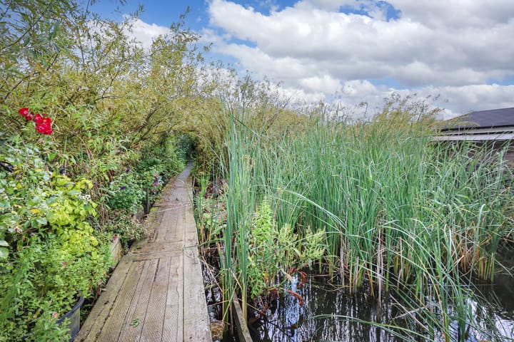 Photo 50 of Zuider IJdijk 134