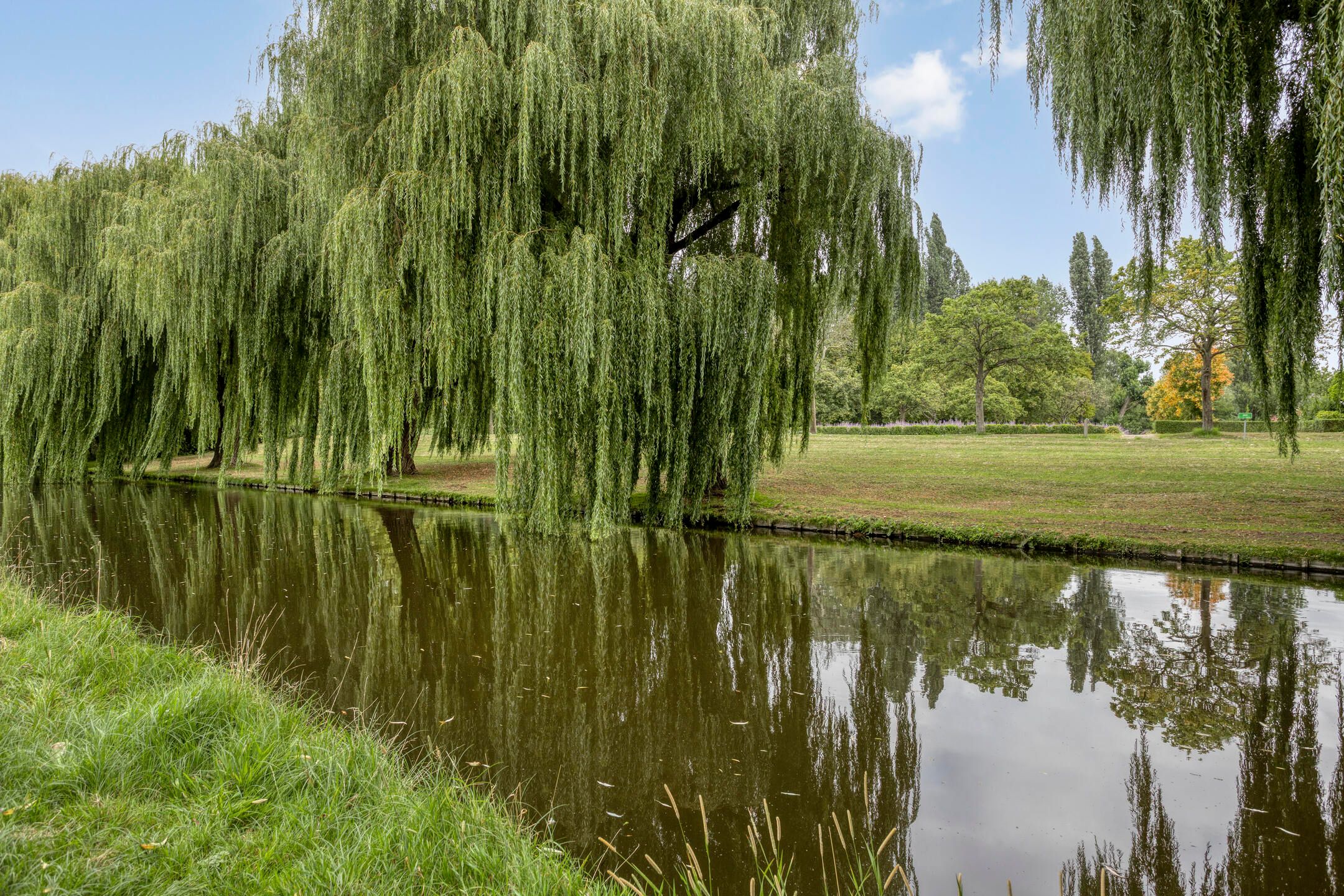 Foto 27 van Oudelandseweg 218