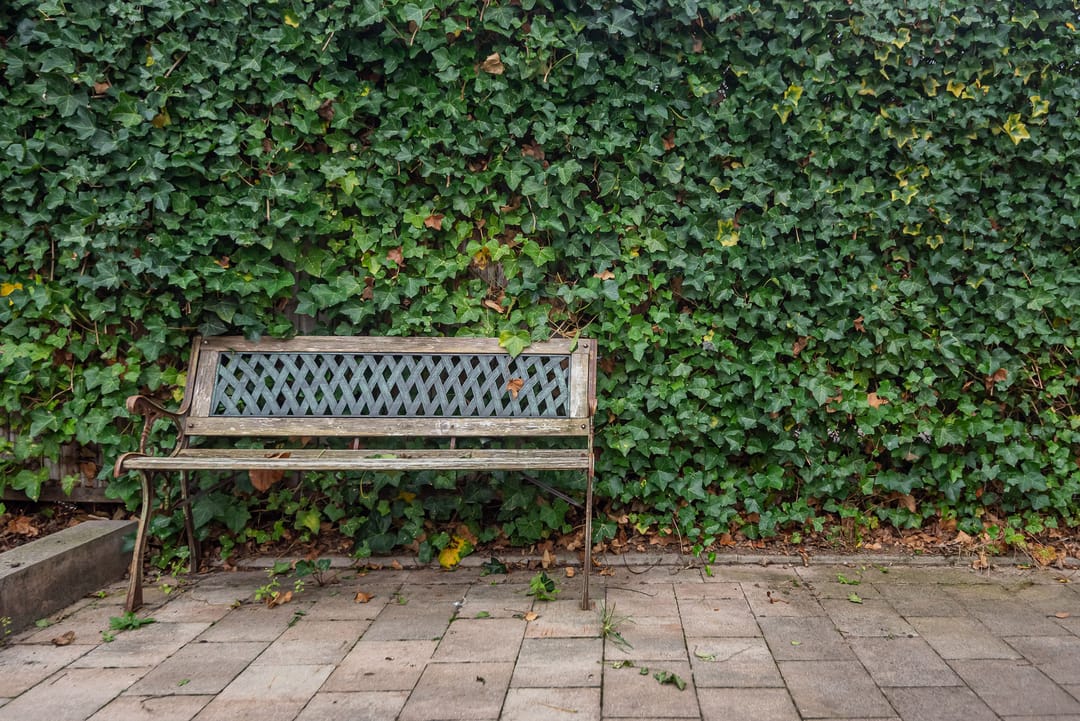 Photo 32 of Wilgenstraat 9