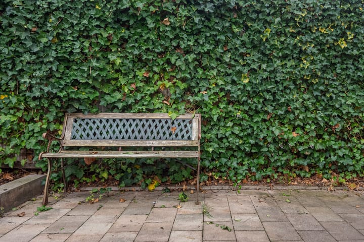 Foto 32 van Wilgenstraat 9