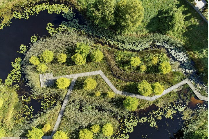 Photo 6 of Stadhouderlaan 212