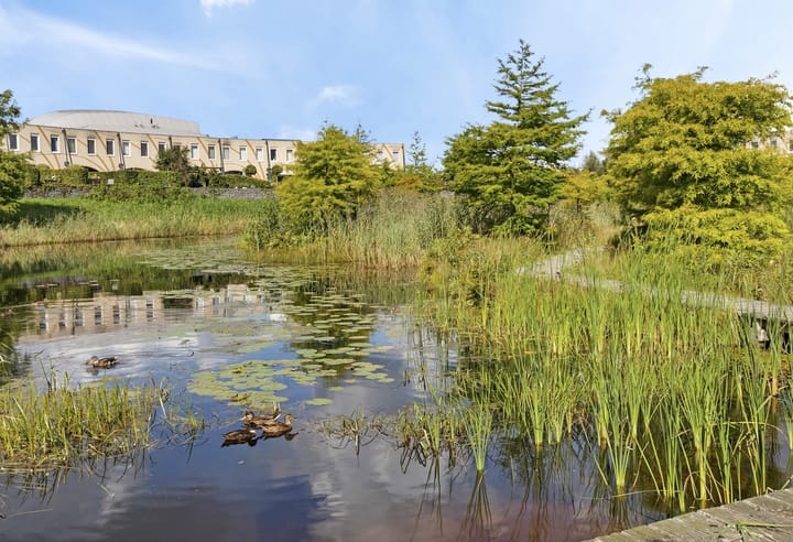 Photo 7 of Stadhouderlaan 212