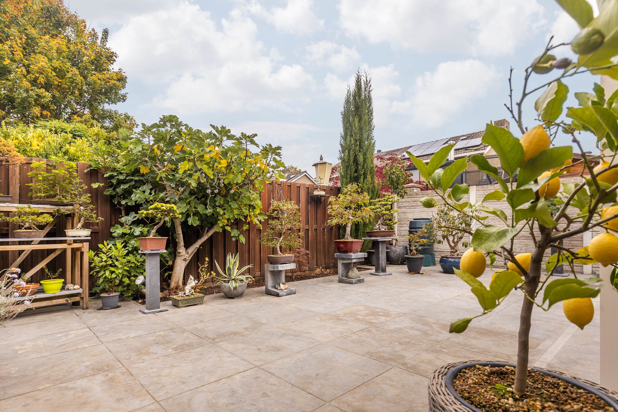 Photo 6 of Beethovenstraat 12