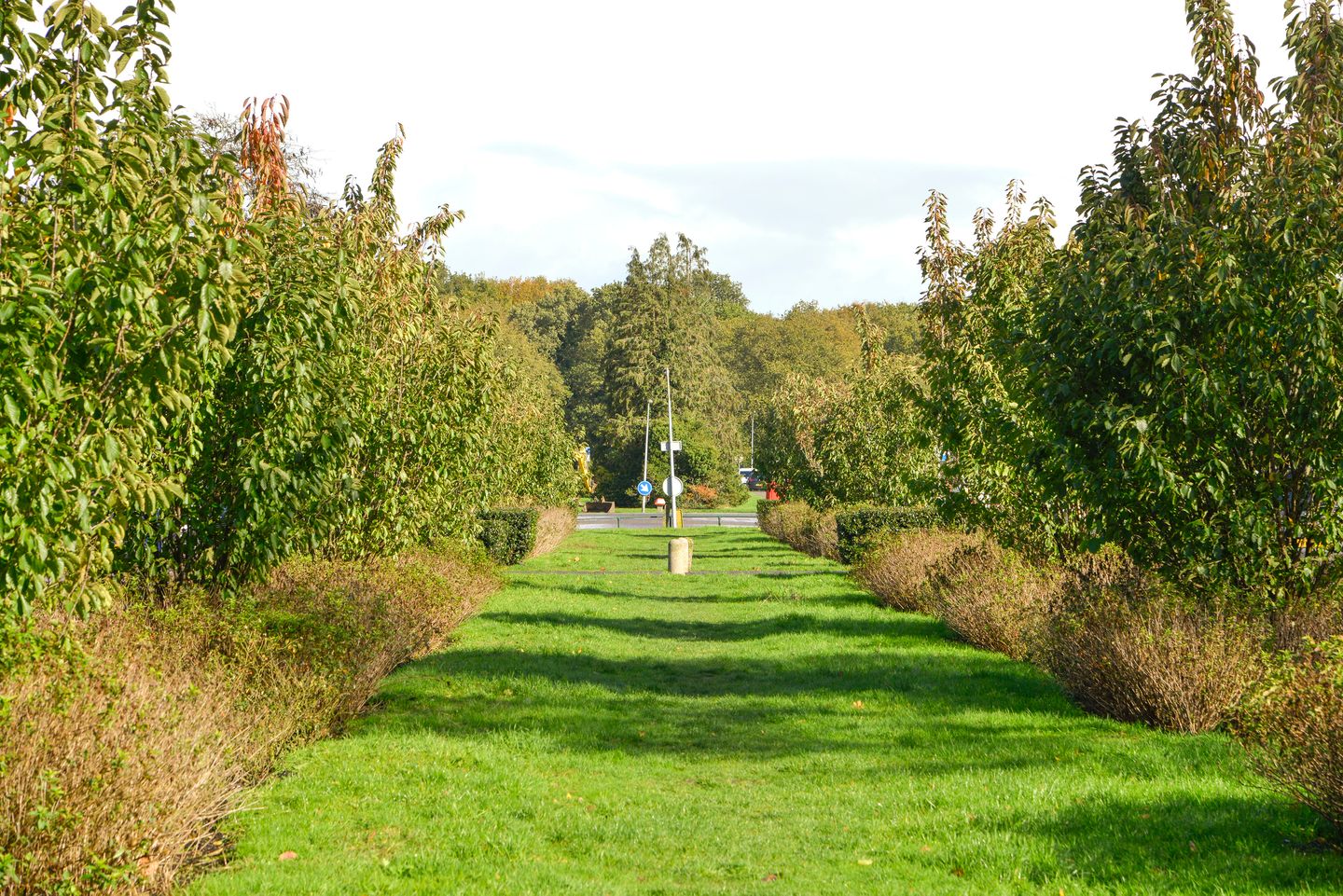 Photo 34 of Orionlaan 1