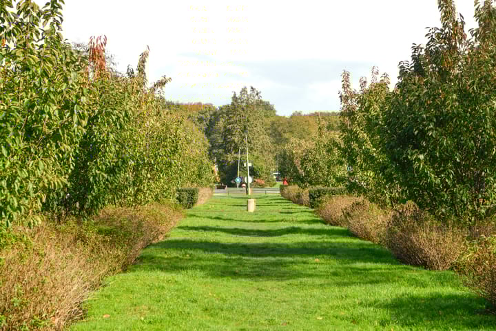 Foto 34 van Orionlaan 1