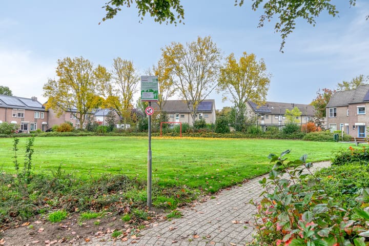 Foto 40 van Kamperfoelie 85