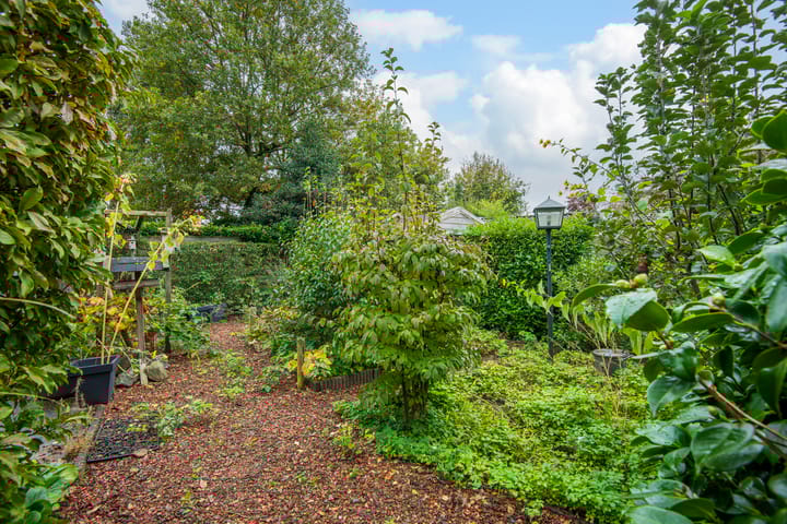 Foto 27 van van Goltsteinstraat 36