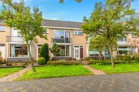 Boomweijdt thumbnail