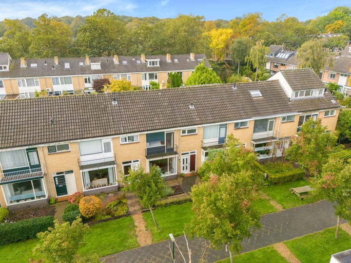 Foto 6 van Boomweijdt 7