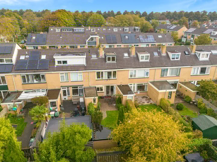 Foto 42 van Boomweijdt 7