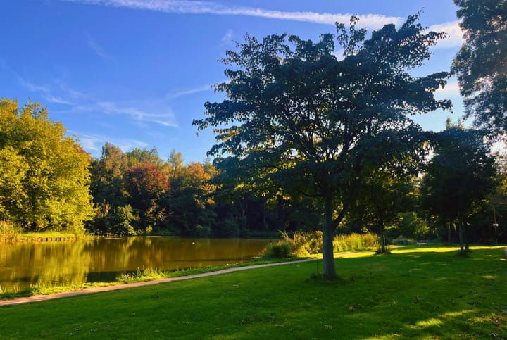 Foto 45 van Boomweijdt 7