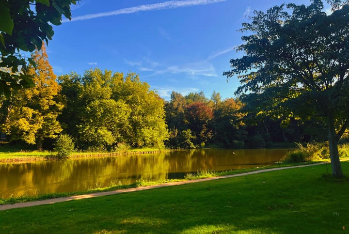 Foto 46 van Boomweijdt 7