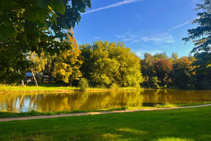 Foto 47 van Boomweijdt 7