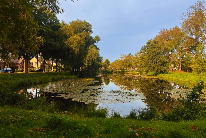 Foto 48 van Boomweijdt 7