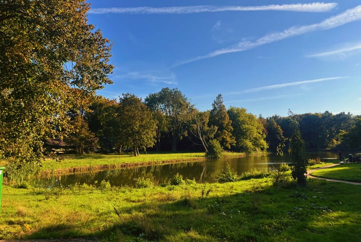 Foto 49 van Boomweijdt 7