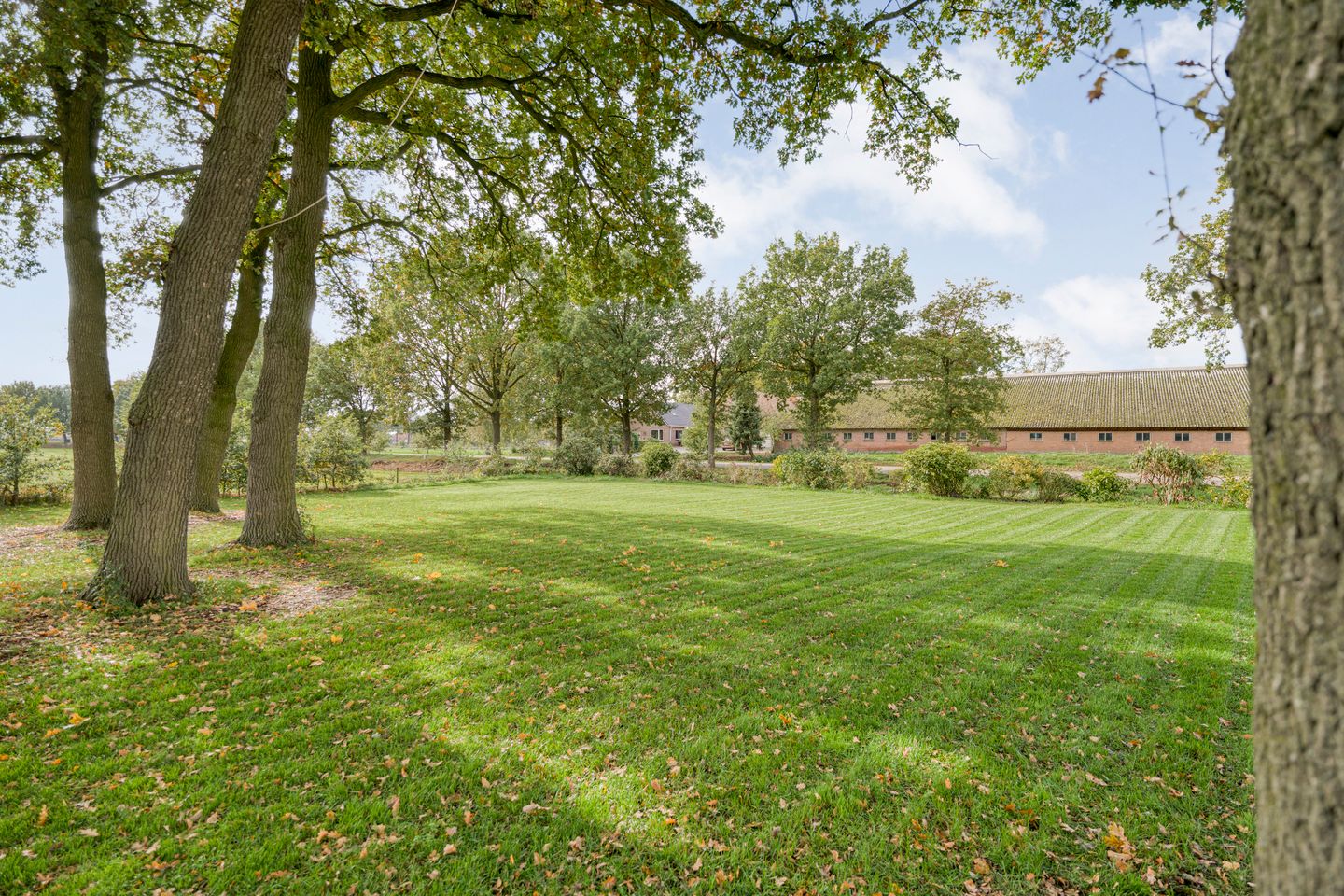 Foto 65 van Dr Ir H A Stheemanstraat 20