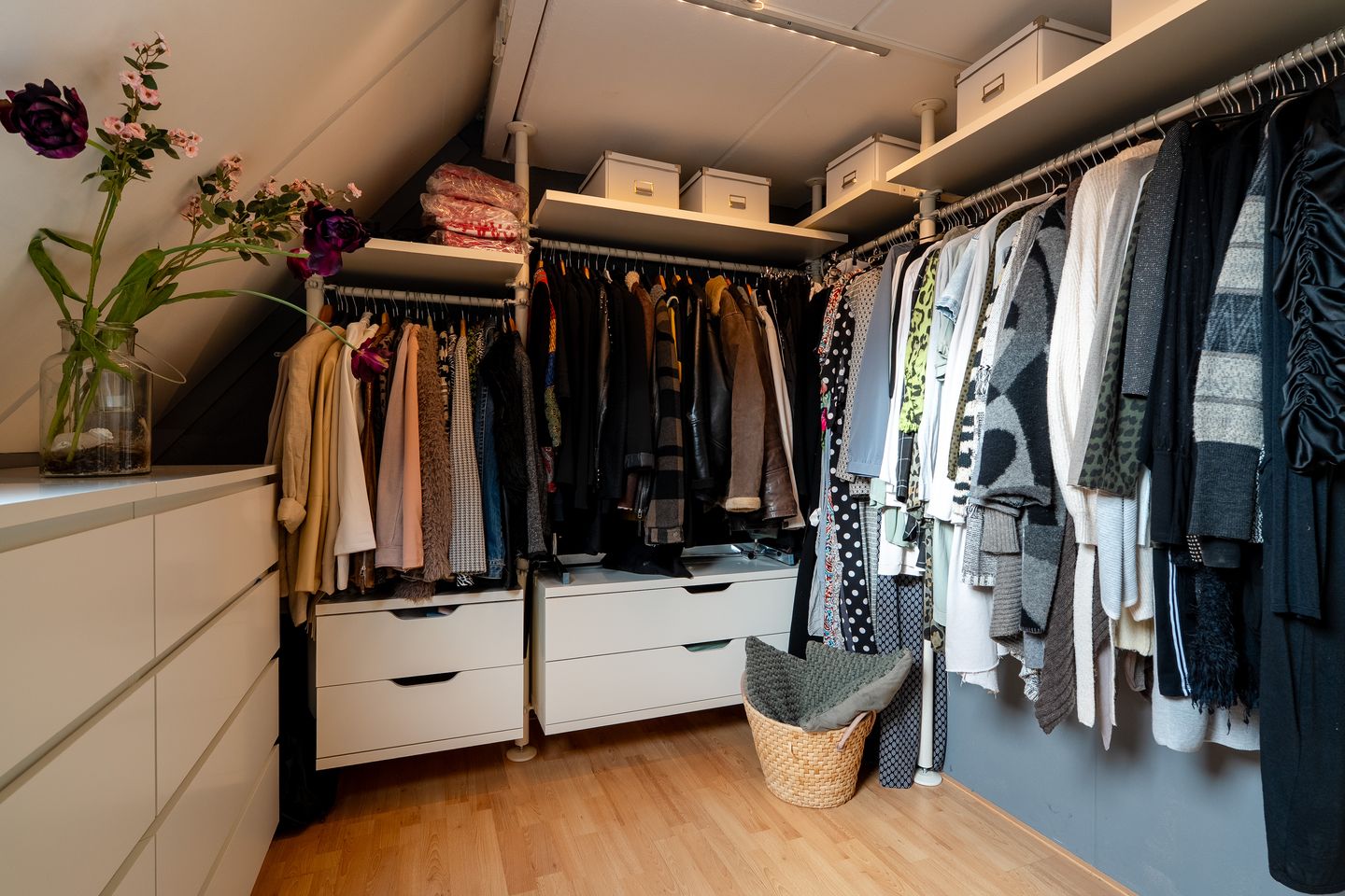 Foto 50 van Zwanebloem 23