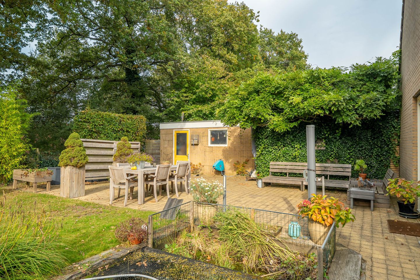 Foto 55 van Zwanebloem 23