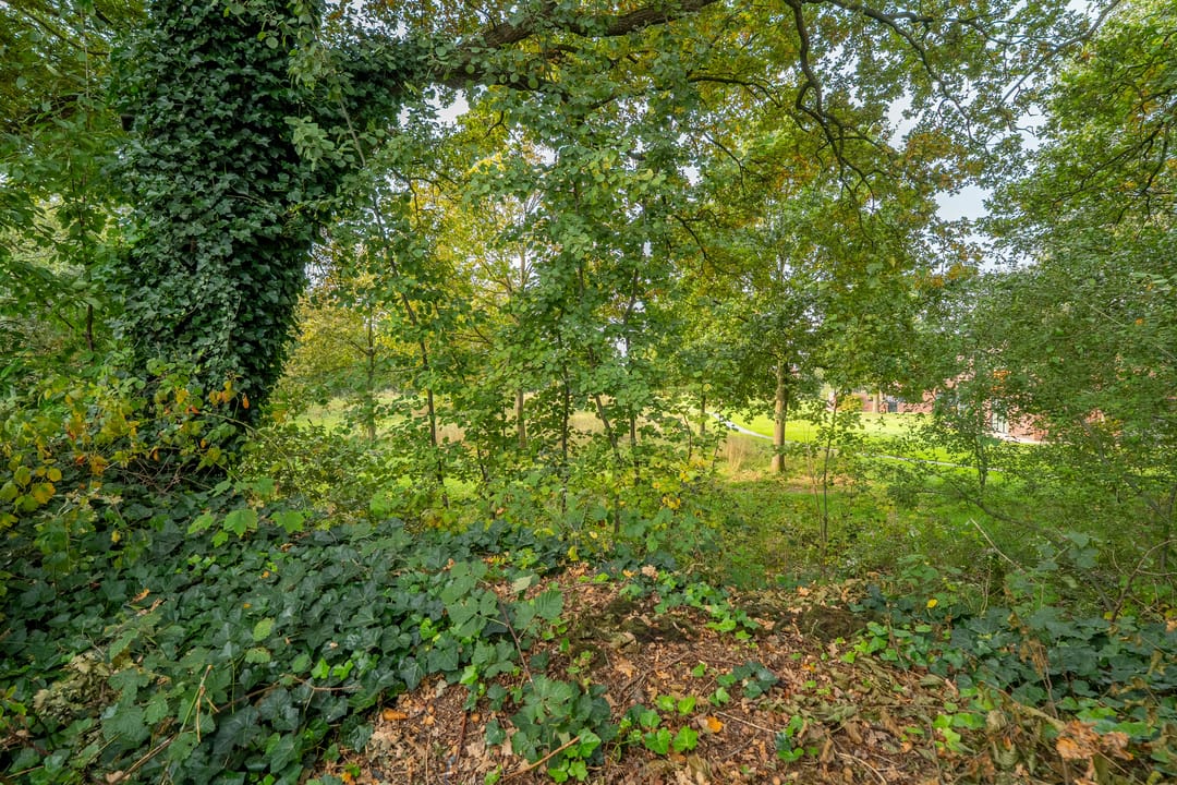 Foto 58 van Zwanebloem 23