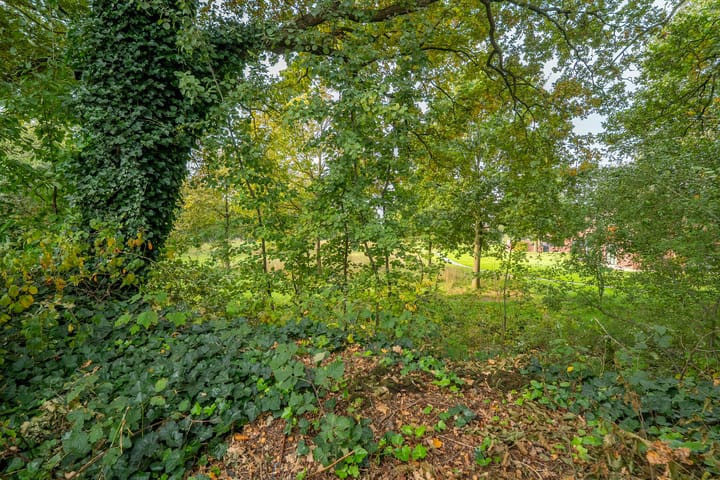 Foto 58 van Zwanebloem 23