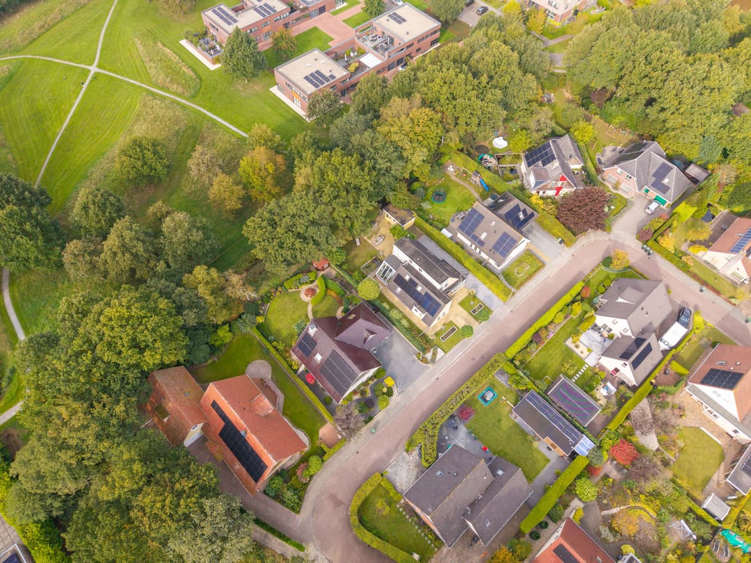 Foto 67 van Zwanebloem 23