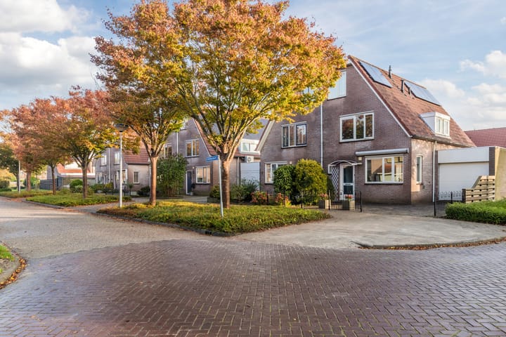 Foto 4 van Kikkerbeet 4