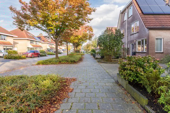 Foto 5 van Kikkerbeet 4