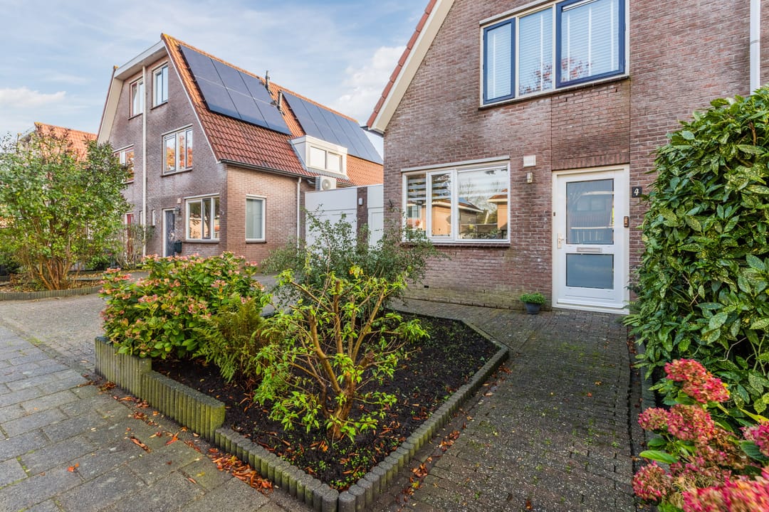 Foto 7 van Kikkerbeet 4