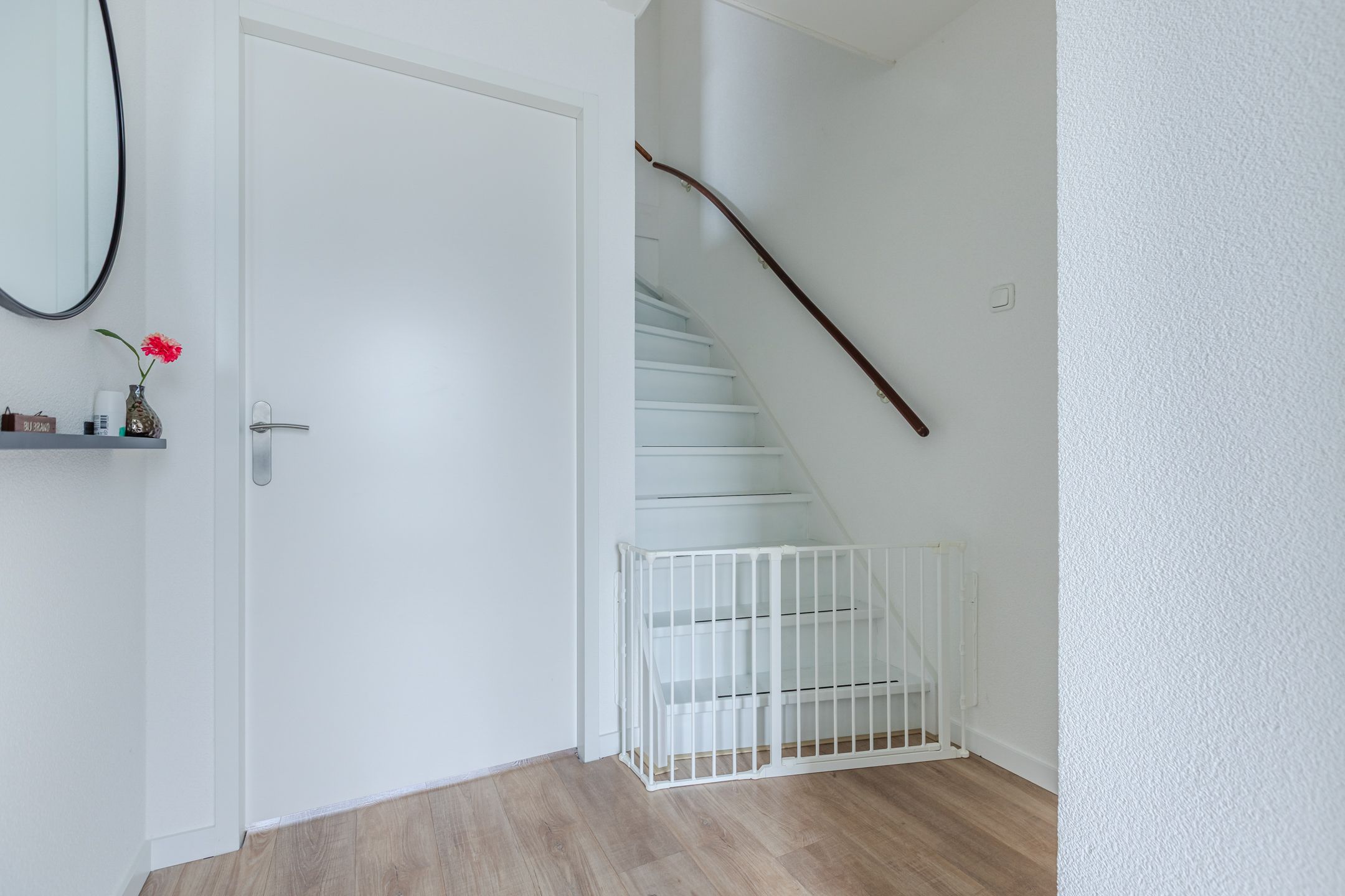 Foto 9 van Kikkerbeet 4