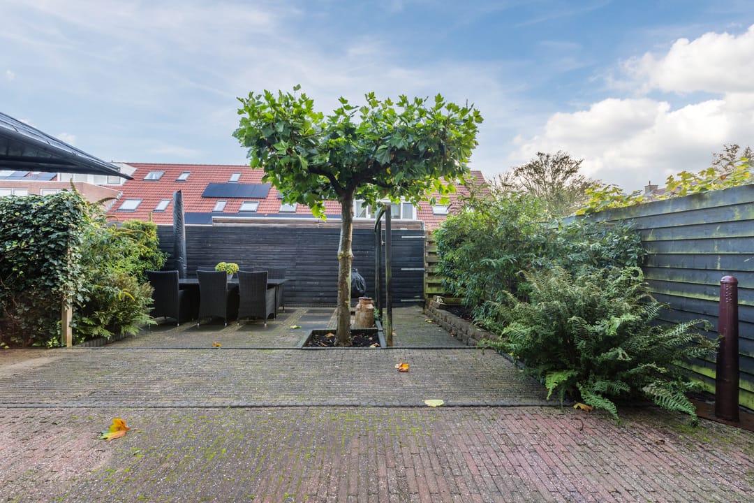 Foto 47 van Kikkerbeet 4