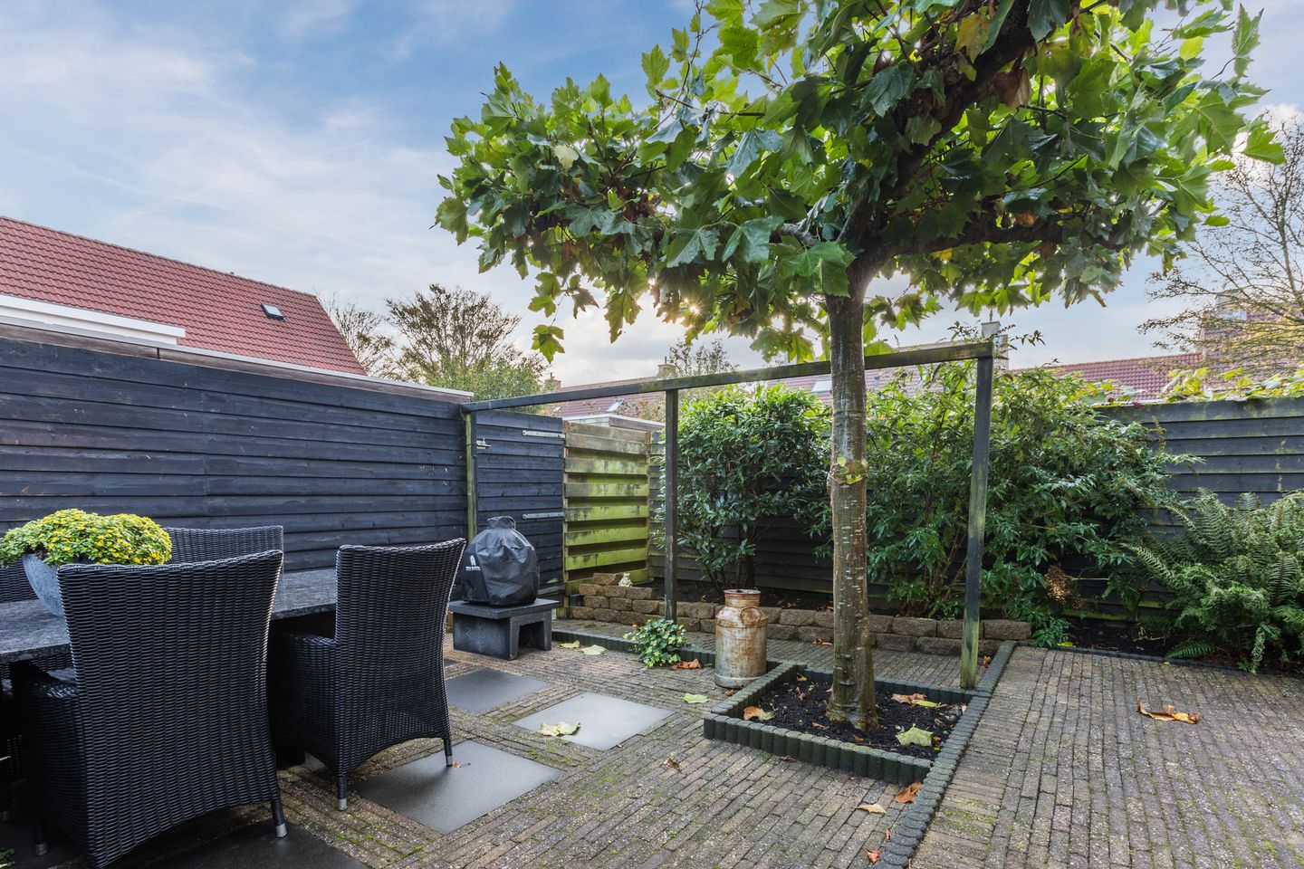 Foto 50 van Kikkerbeet 4