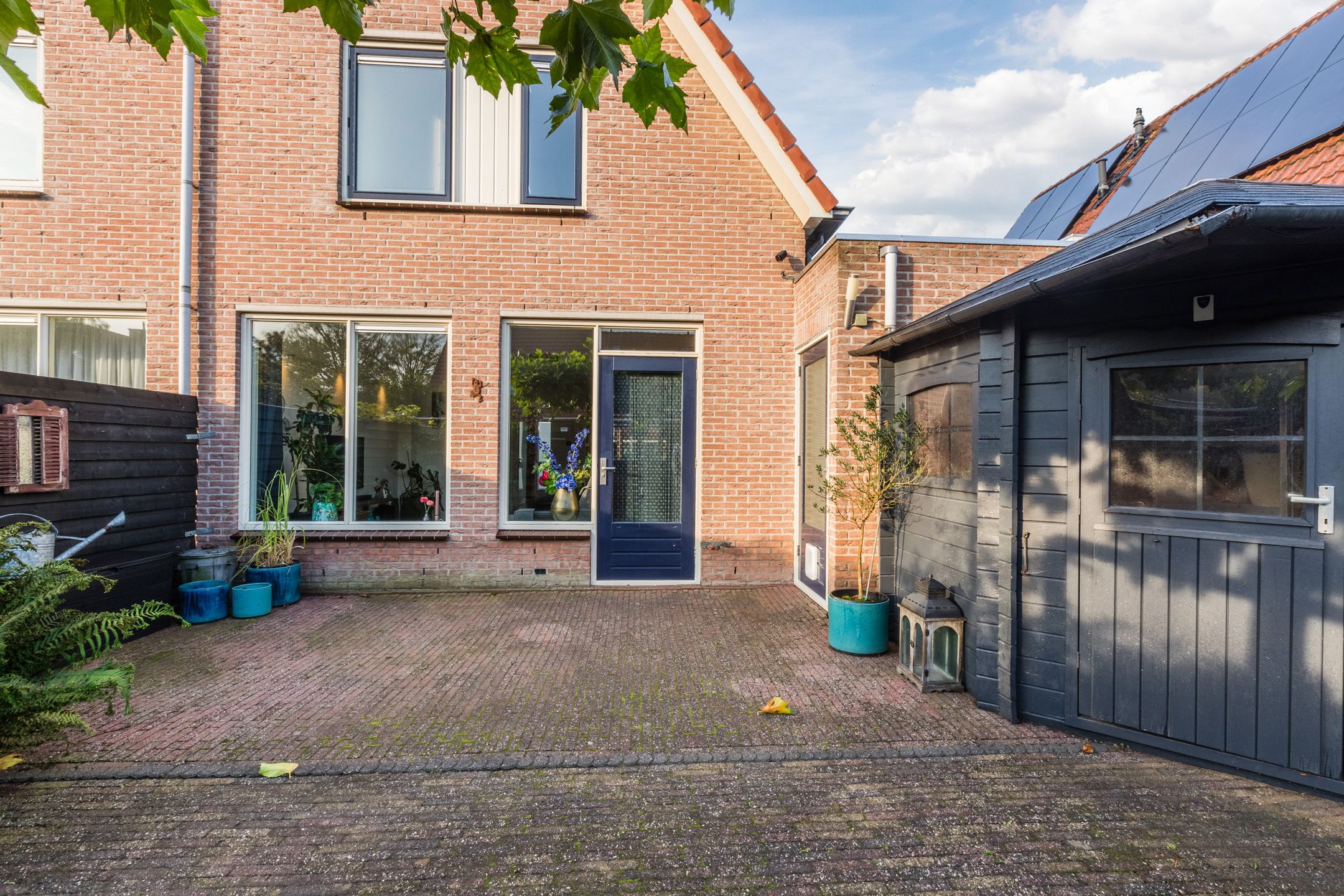 Foto 51 van Kikkerbeet 4