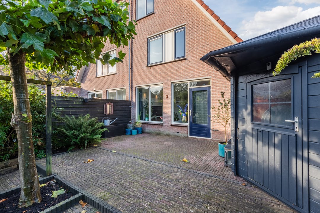 Foto 52 van Kikkerbeet 4