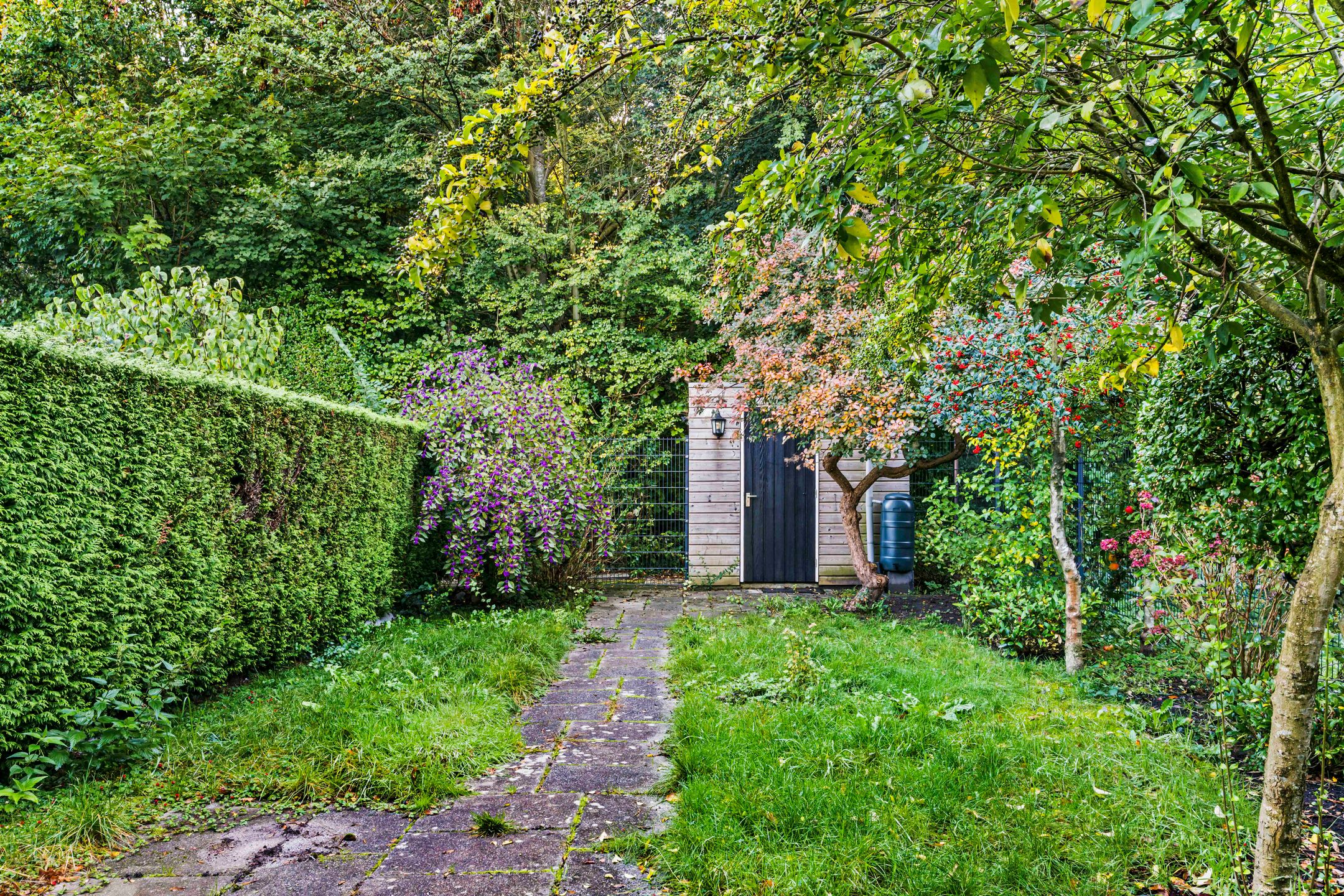 Foto 24 van Poortland 1