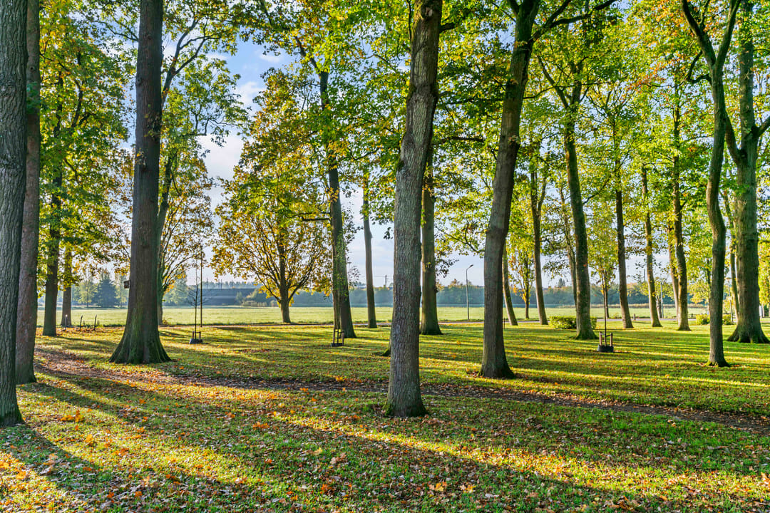 Foto 32 van Poortland 1