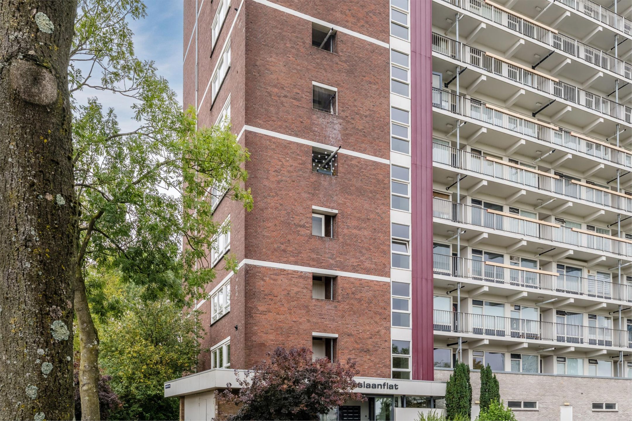 Foto 3 van Donderslaan 59